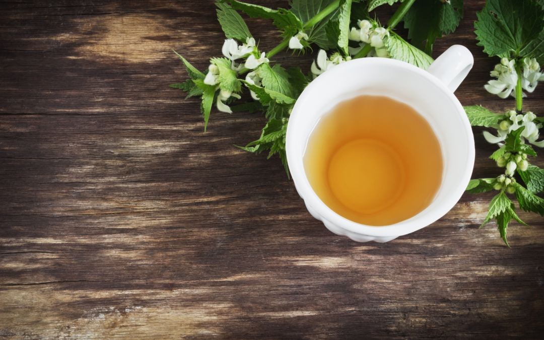 Five Herbs Every Mother Needs in Her Life