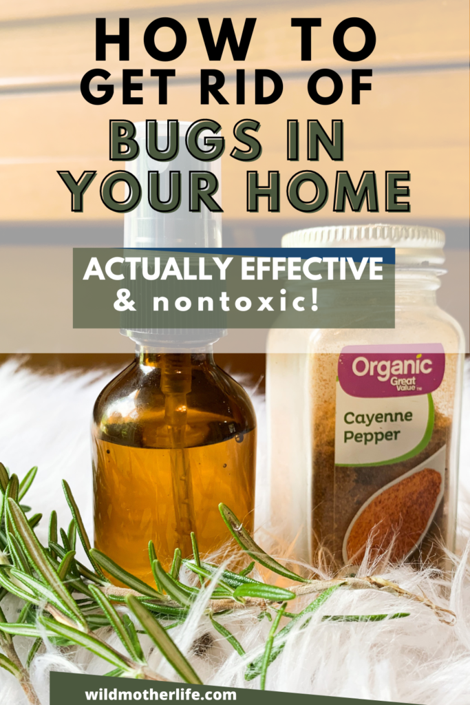 How to get rid of bugs in your house