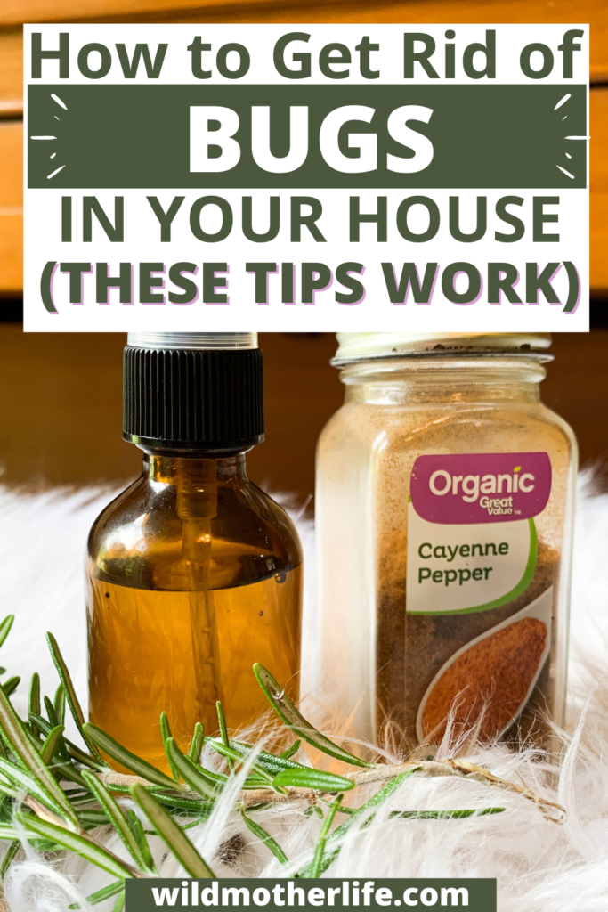 How to get rid of bugs in your house