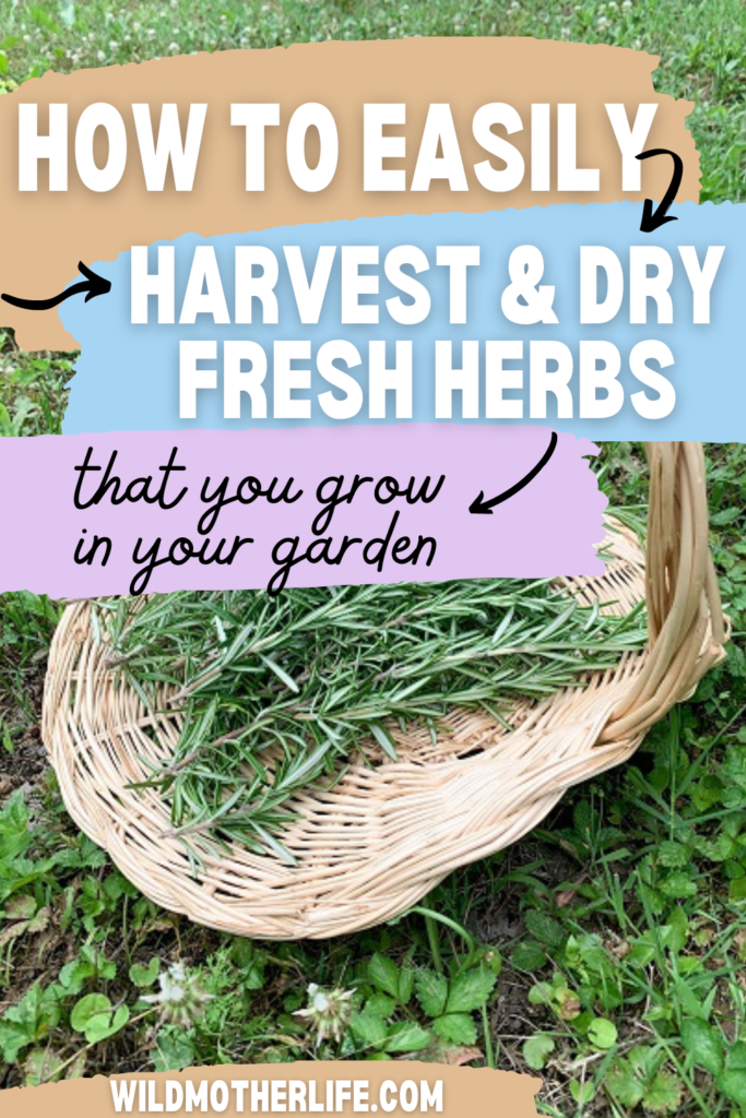 how-to-dry-fresh-herbs