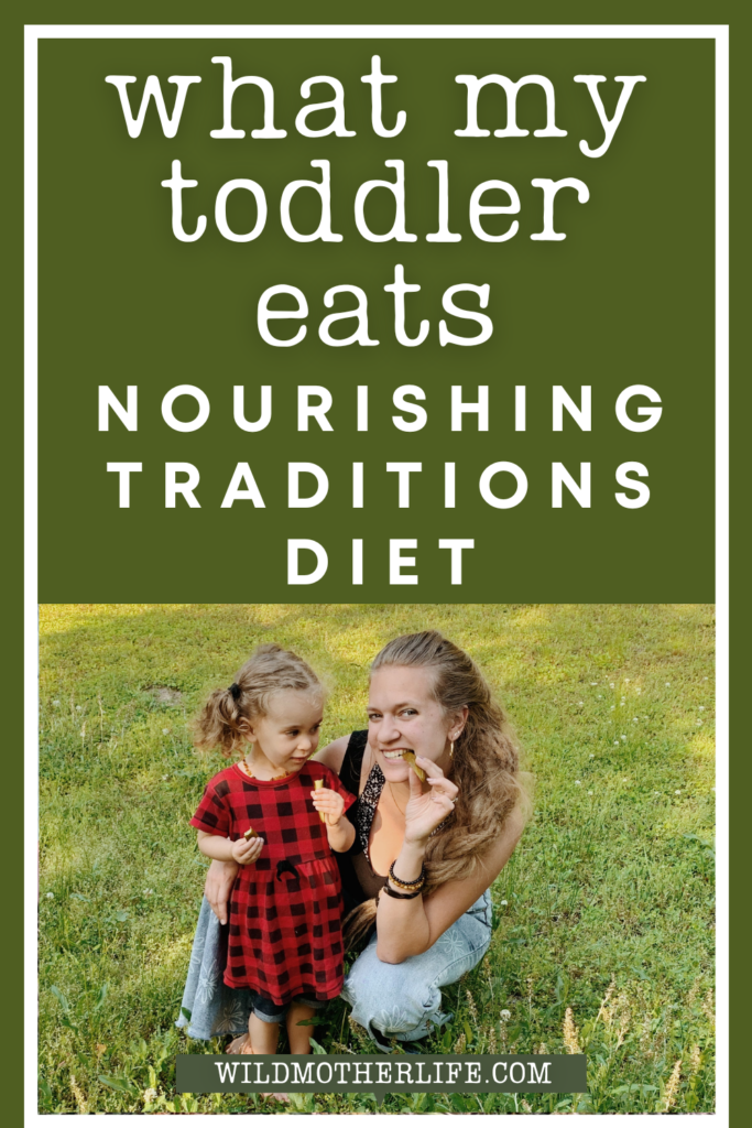 nourishing traditions diet for toddlers
