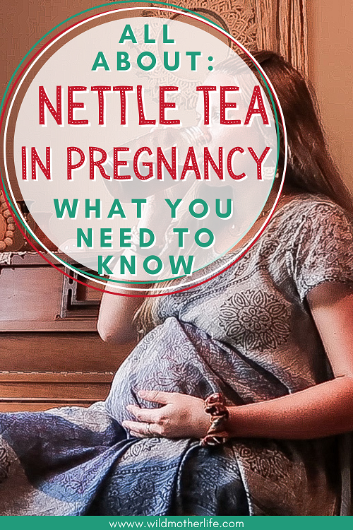 nettle tea in pregnancy 