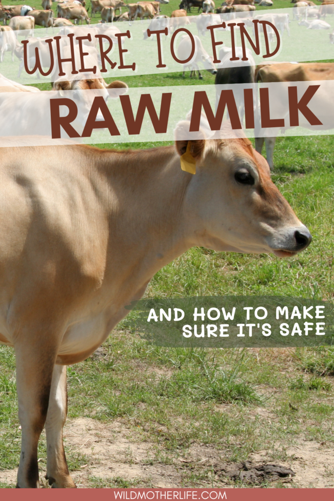 where to buy raw milk