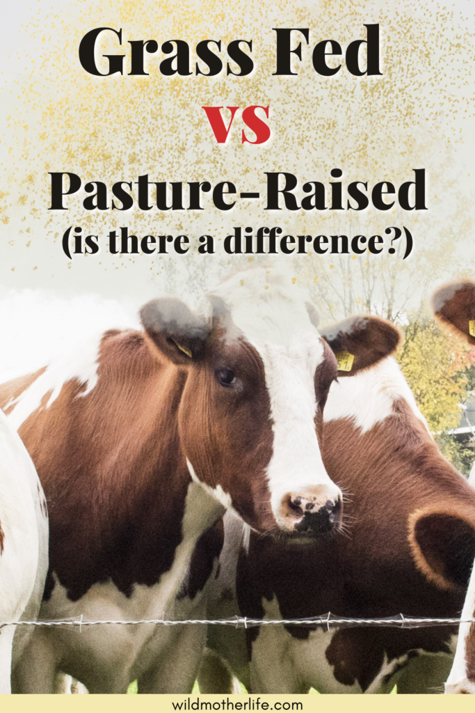 pasture raised vs grassfed 